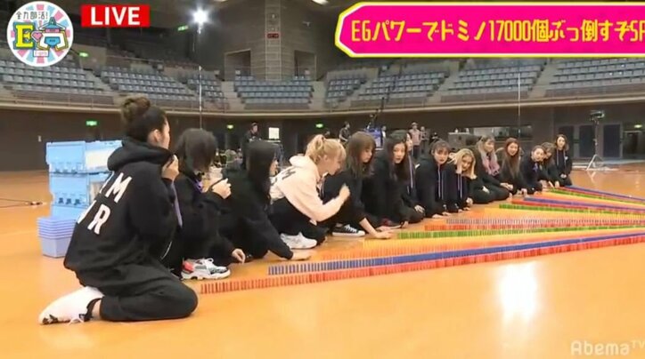 Dream Ami、E-girlsのSAYAKAにキレられる！？ E.G.family全員で生放送中にドミノ17,000個に挑戦！