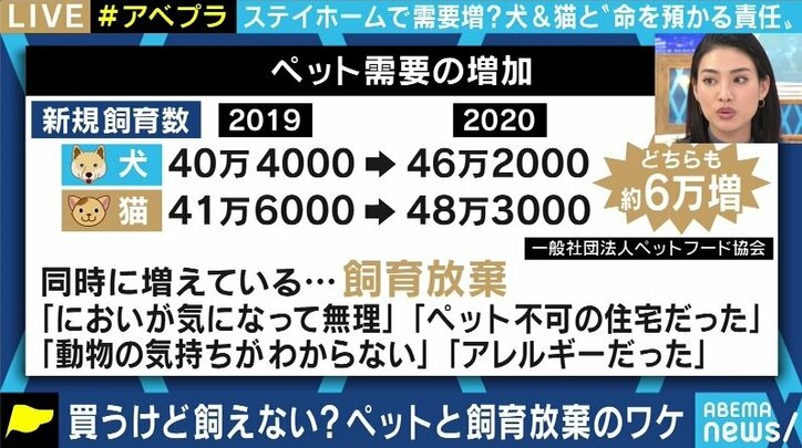 「飼ってみたら匂いと鳴き声が…」コロナ禍に買われた犬猫の放棄が急増? ペットショップでの販売はやめるべきか