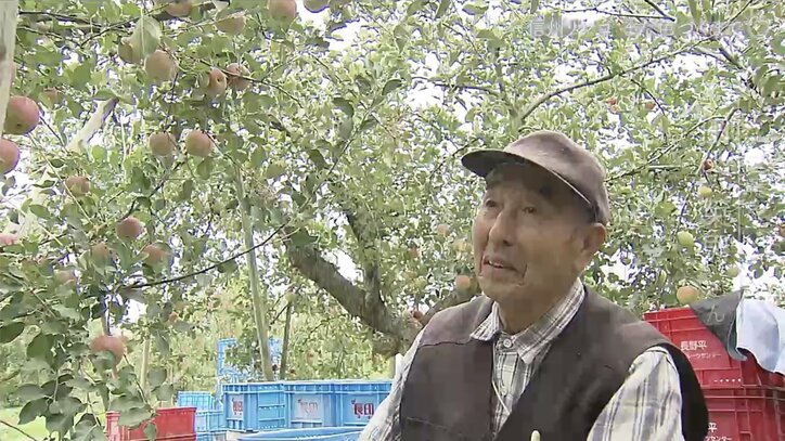 被害総額1億円超、家族とも離れ…それでも地域と仲間のために立ち上がったリンゴ農家