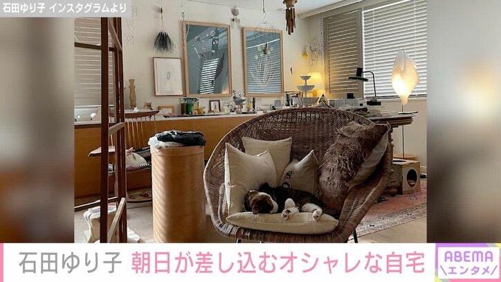 【写真・画像】石田ゆり子（55）、朝日が差し込むオシャレな自宅に反響「心地よい空間に見える」「部屋がステキすぎる」　2枚目