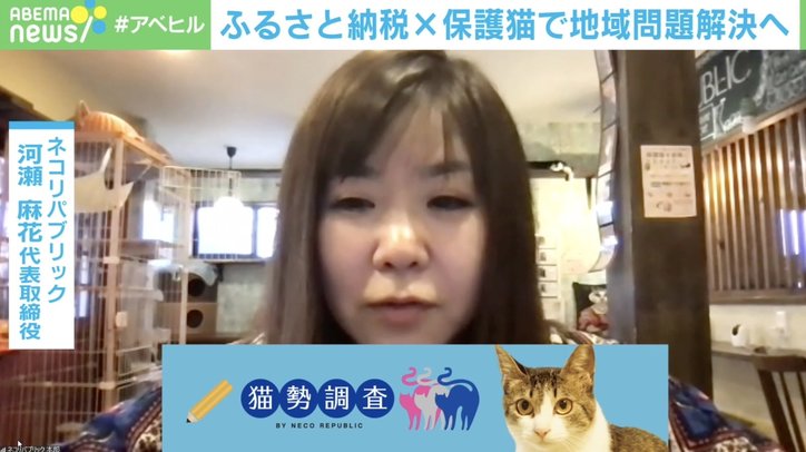 ふるさと納税が保護猫を救う？ まちづくりプロジェクトで環境問題も解決へ「全ての人にプラスになる事業に」