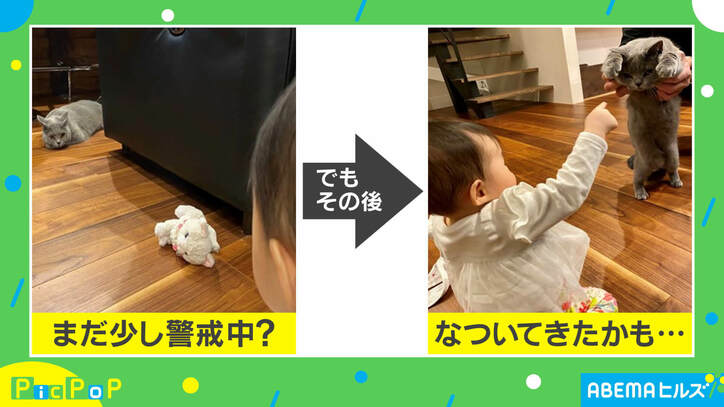 「お前は誰ニャ…?」猫と娘の“遭遇”が可愛すぎ! 投稿主「独特の緊張感あった」