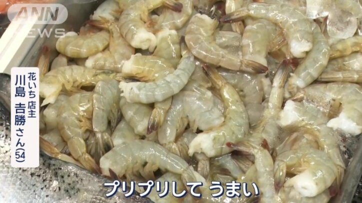 バナメイエビの仕入れ