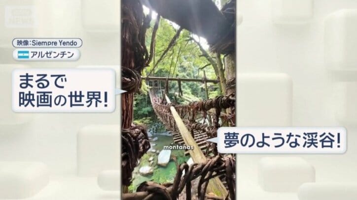世界中が注目