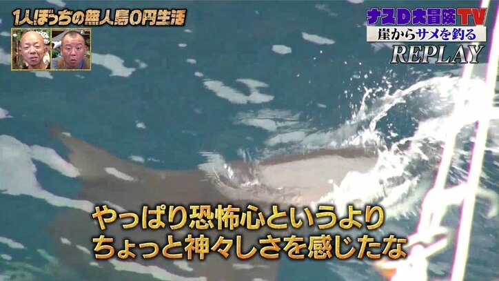 サメが海面の生き餌を捕食する瞬間、ナスDは…「恐怖心よりも神々しさを感じた」