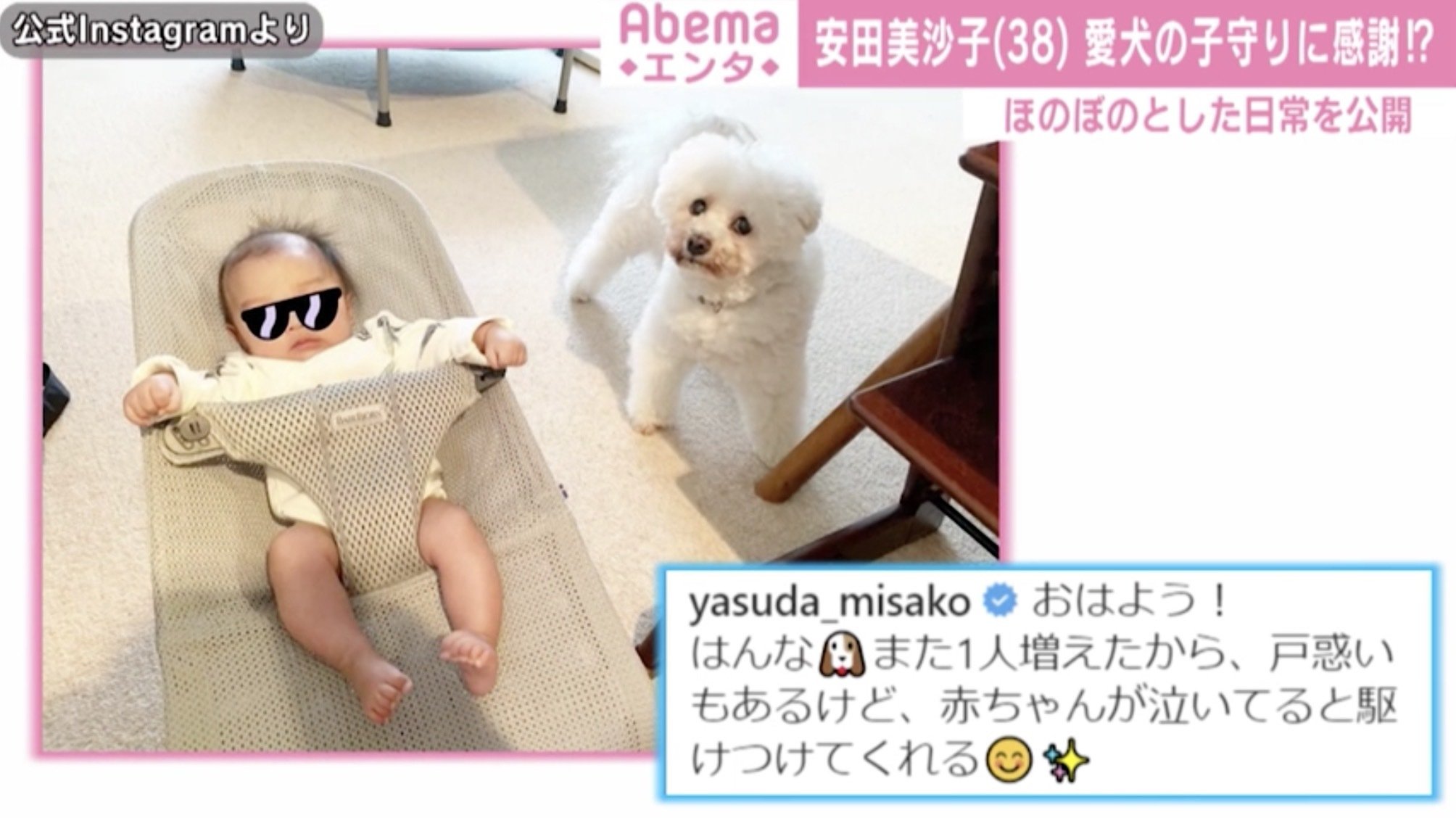 安田美沙子 愛犬の子守に感謝 泣いていると駆けつけてくれる ほのぼのとした日常を公開 芸能 Abema Times
