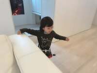 アレクサンダー『のんちゃんから逃げる美人ちゃん』