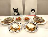 藤あや子『今日の晩ごはん』