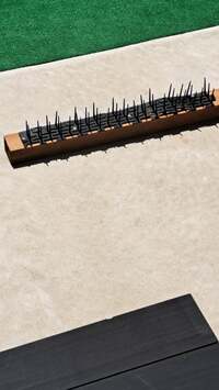 小原正子『おおがかり⭐』