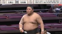 ミカミです。伯桜鵬 か、かわいい」「ピ、ピンク？」伯桜鵬の化粧まわしに反響 “令和