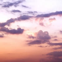 kaori(ttkk)の嫌がらせのためだけのお弁当ブログ