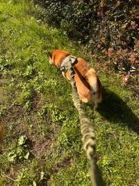 尾形あい『昨夜は、、、』