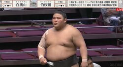 「か、かわいい」「ピ、ピンク？」伯桜鵬の化粧まわしに反響 “令和の怪物”の意外な姿にファン驚き