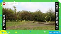 「全然わからない…」草むらに隠れた“自衛隊員”を探せ！ 激ムズ投稿に反響