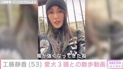 工藤静香、自撮りした愛犬とのプライベートお散歩動画公開「風が強いですね」
