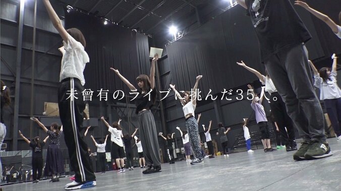 乃木坂46ライブDVD＆Blu-rayに特典映像が収録、予告編も公開 1枚目