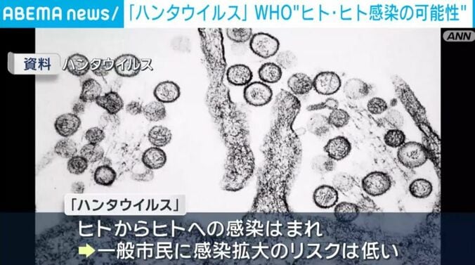 ハンタウイルス（資料）