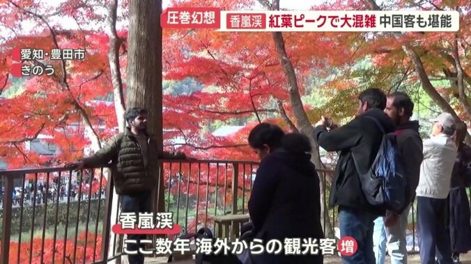 海外からも観光客増