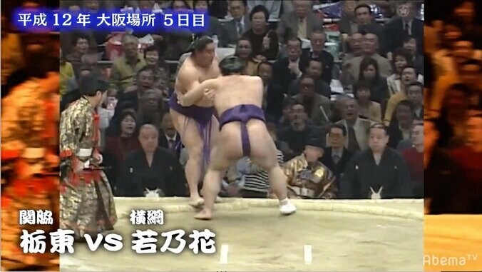 元若乃花、現役最後の一番を振り返り「最後が栃東でよかった」としみじみ 2枚目