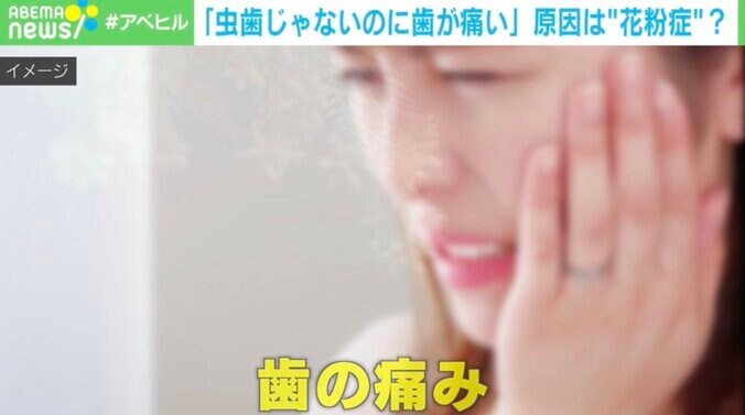 【写真・画像】　1枚目