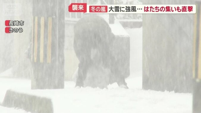 大きな雪玉を転がす人の姿も