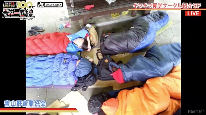 ロンブー田村淳、青学の野宿サークルに興味「自分たちが思い描いていた青学生」 3枚目