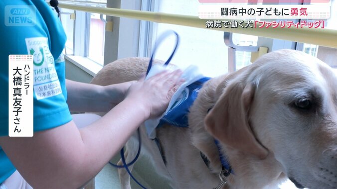 ハンドラー　大橋真友子さん