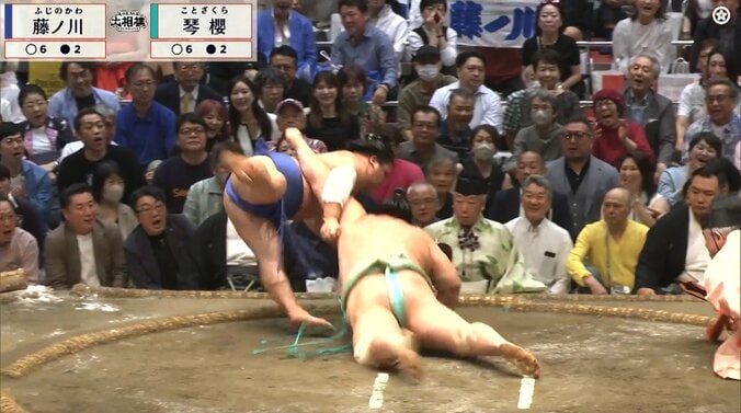 藤ノ川が琴櫻を“ぶん投げた”らスゴイ展開に 著名人2人が揃って「お口あんぐり」 カメラが捉えた面白リアクション「シンクロしてるw」 3枚目