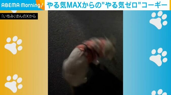 いちみちゃん