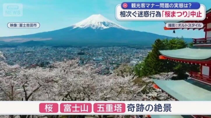 春になると奇跡の絶景に