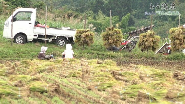「もう限界」…失われる“日本の原風景”棚田を後世に残すために