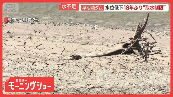 西日本では水不足　貯水率“9月に0％”懸念も　「四国のいのち」高知・早明浦ダムで
