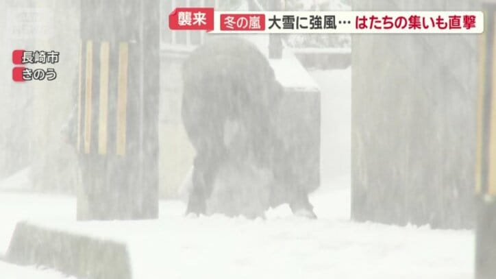 大きな雪玉を転がす人の姿も
