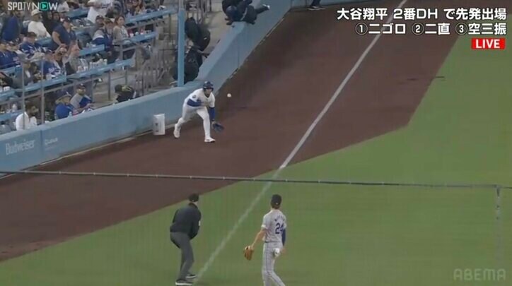 【映像】未来のスター？ 完璧捕球からのドヤ顔の瞬間