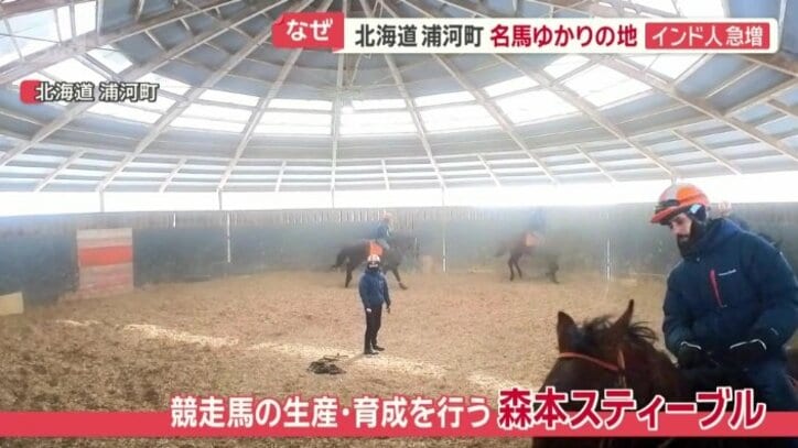 森本スティーブル