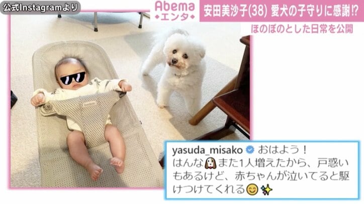安田美沙子、愛犬の子守に感謝「泣いていると駆けつけてくれる」 ほのぼのとした日常を公開