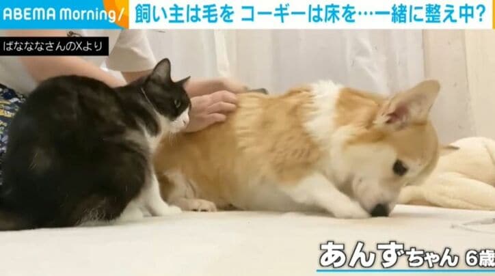 ばなななさんのXから