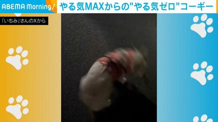 いちみちゃん