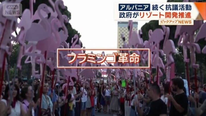抗議活動は「フラミンゴ革命」と呼ばれている