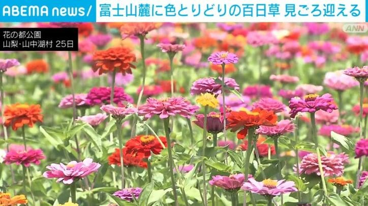 花の都公園