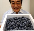  高橋英樹、娘・真麻や孫にも届けるお取り寄せ品「大粒で甘酸っぱくて美味しい」 