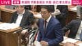 「物価高は2年後には収まっているんでしょうか」消費税減税めぐり共産・辰巳氏が追及「一番消費税の負担が重い人が排除になる」