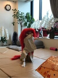 市川海老蔵『感動。』