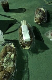 市川海老蔵『友達の家へ』