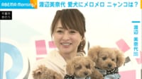 【映像】“3姉妹”の愛犬を抱っこする渡辺美奈代