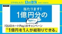 けやきヒルズ - ネットピ - 1億円を1人が総取りできる「QUOカードPay」のキャンペーン (19/04/09) | 動画視聴は【Abemaビデオ(AbemaTV)】