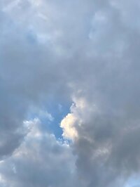 政井マヤ『日蝕の苦い思い出』