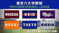 東京六大学野球2019秋季リーグ戦