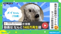 【映像】おもちゃキャッチ→ポケットイン→返却