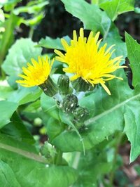 堀ちえみ『気持ちがスカッとする瞬間』